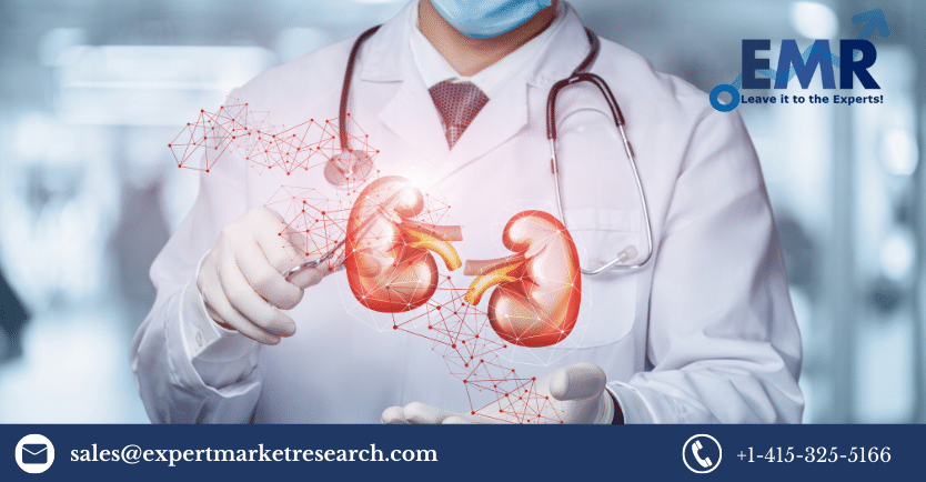 Global Acute Kidney Injury Treatment Market Size, Price, Trends, Growth, Outlook, Report and Forecast Period Of 2021-2026