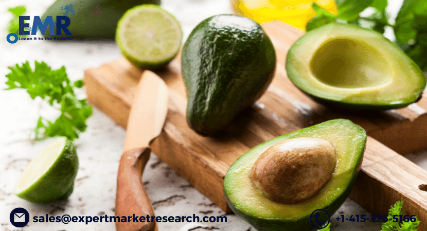 Avocado Processing Market Size, Share, Report, Growth, Price, Trends and Forecast Period 2021-2026