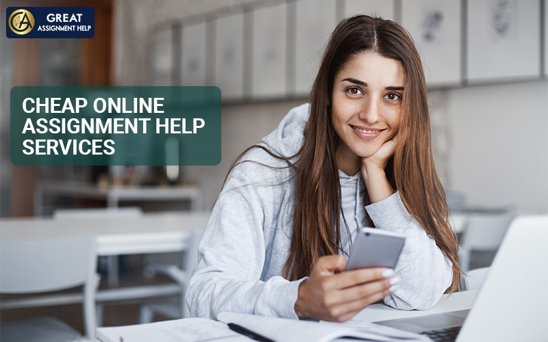 Why Do Students Ask For Assignment Help from Experts?