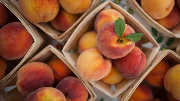 The Health benefits of Peaches are numerous
