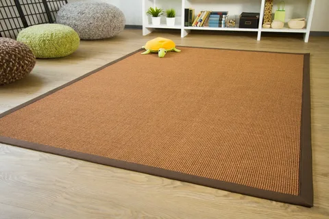 Enhancing Your Home with Sisal Carpeting